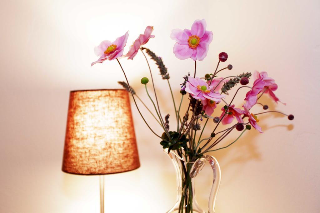 La Tourrette Bed and Breakfast Tourrettes-sur-Loup Εξωτερικό φωτογραφία